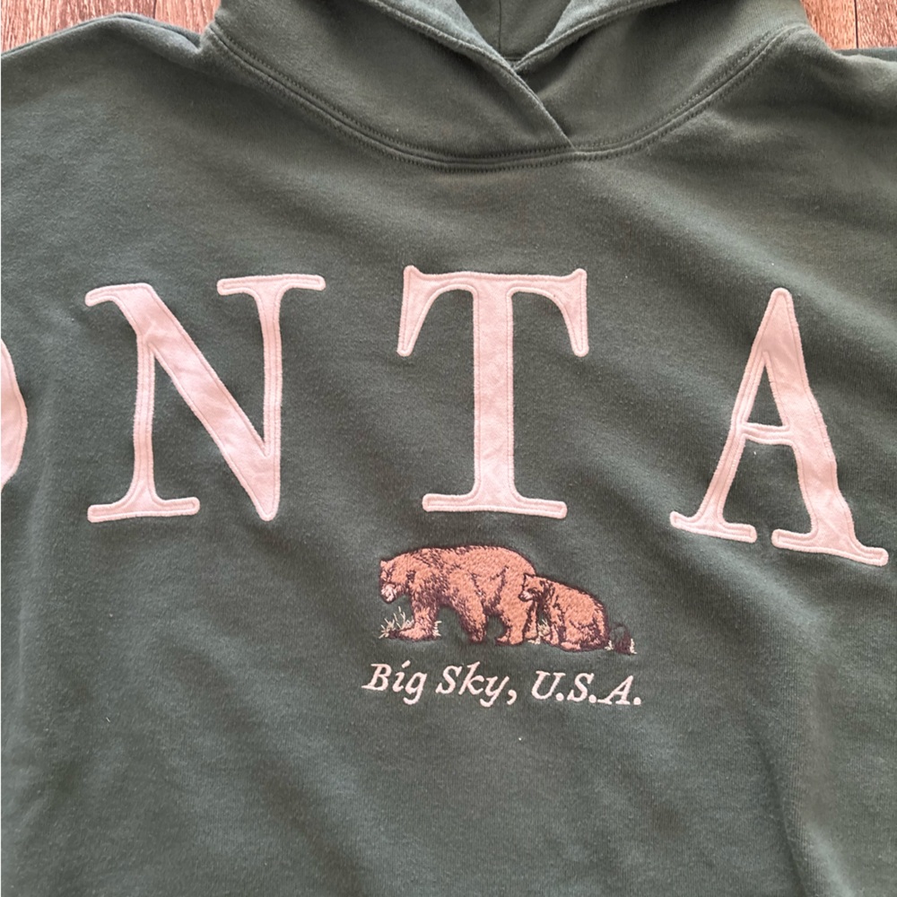 Hollister Forest Green Montana Hoodie - Picture 2 of 5